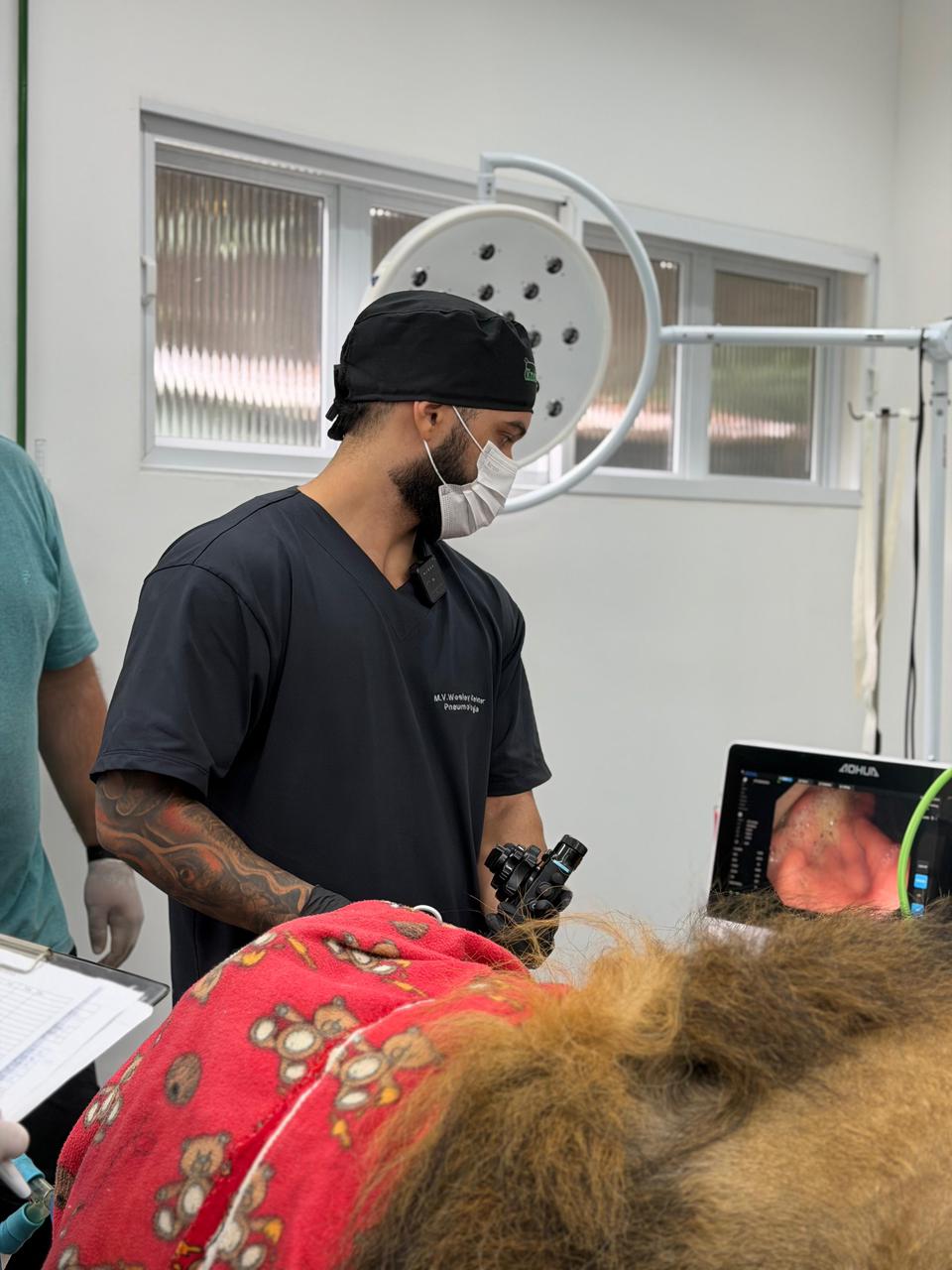 Exame de colonoscopia veterinária