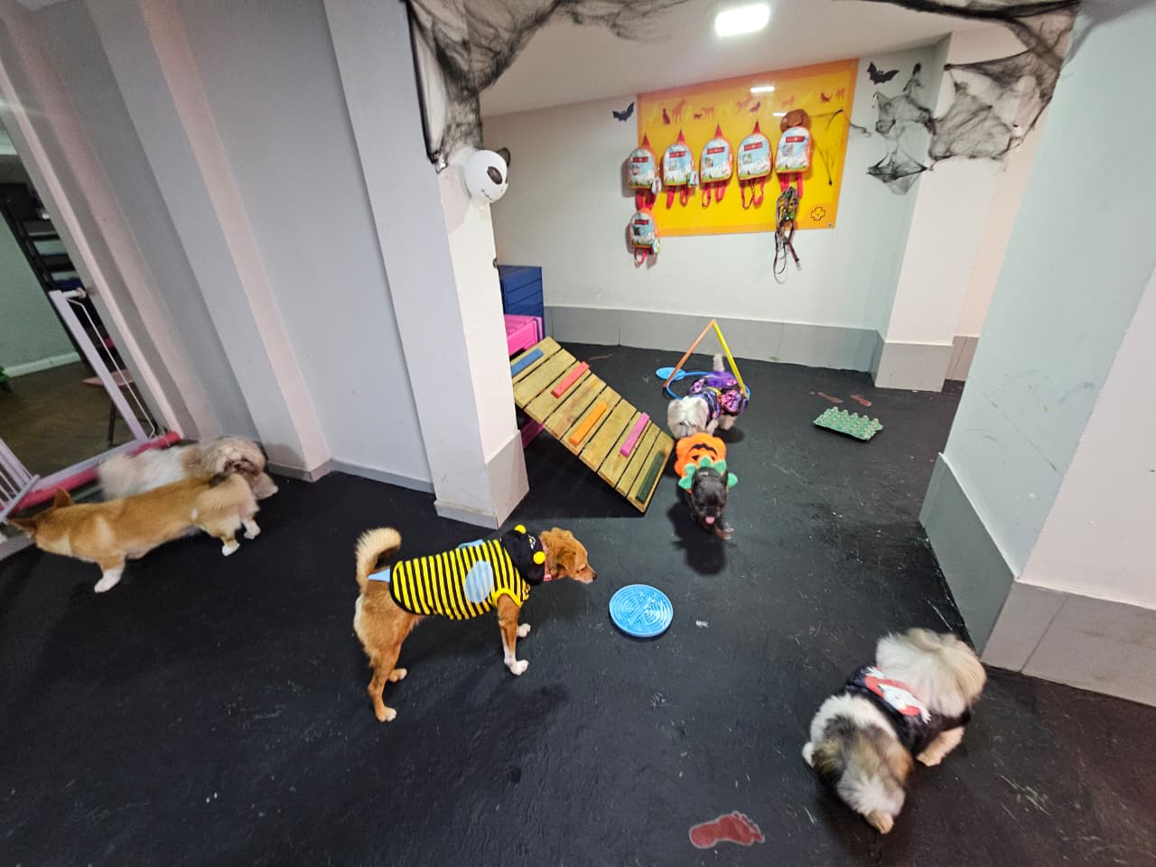 Nova foto da Creche Clinicão Aclimação