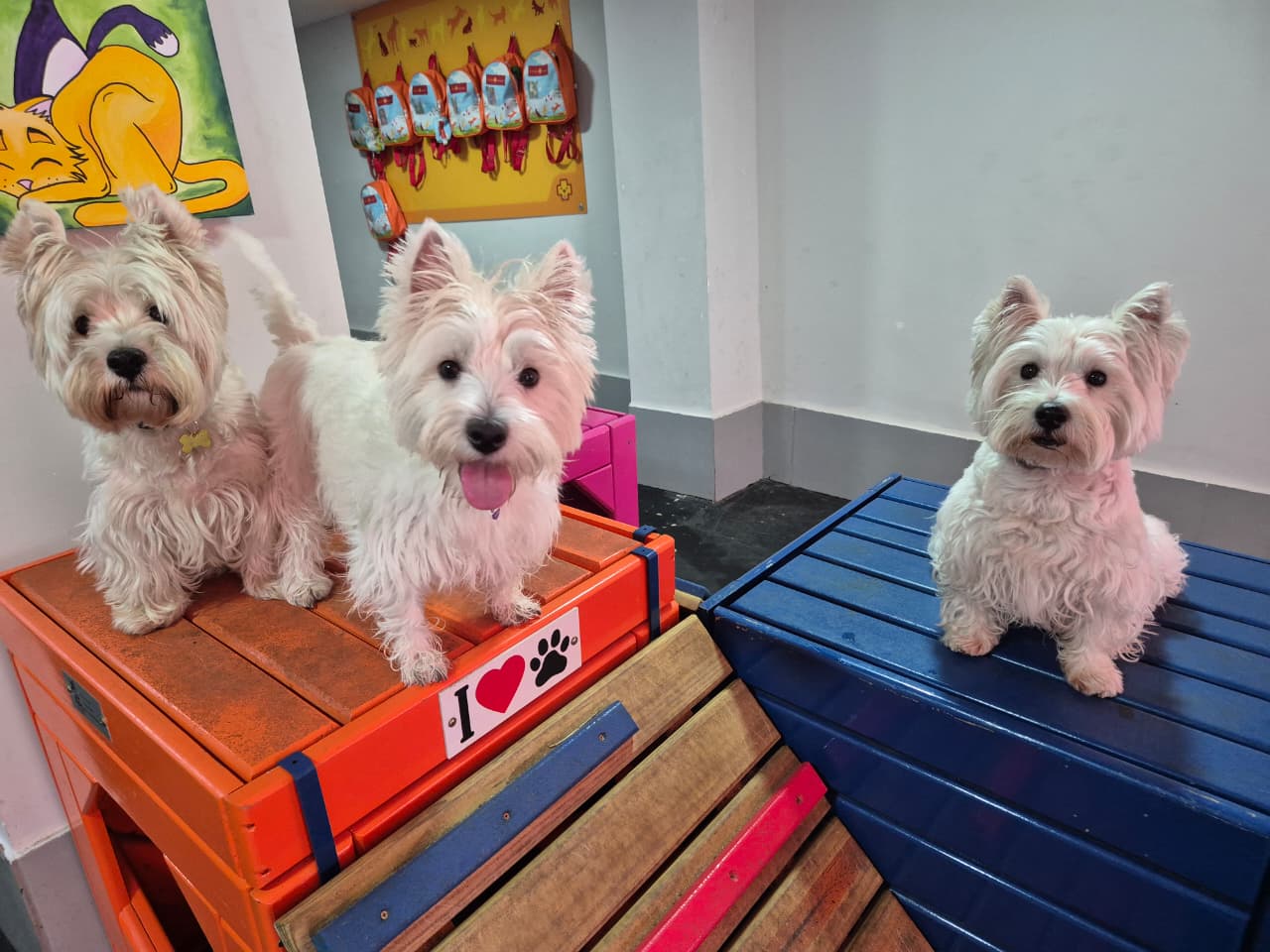 Outra foto do Daycare Clinicão Aclimação
